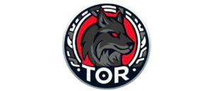 Logo-Tor-Icn-Nancy