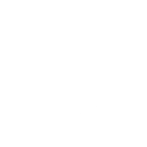 Logo FAMI Blanc (fond transparent)